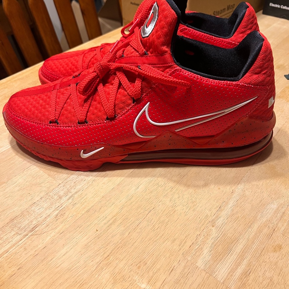 Lebron 17 Low Ohio State PE size 15